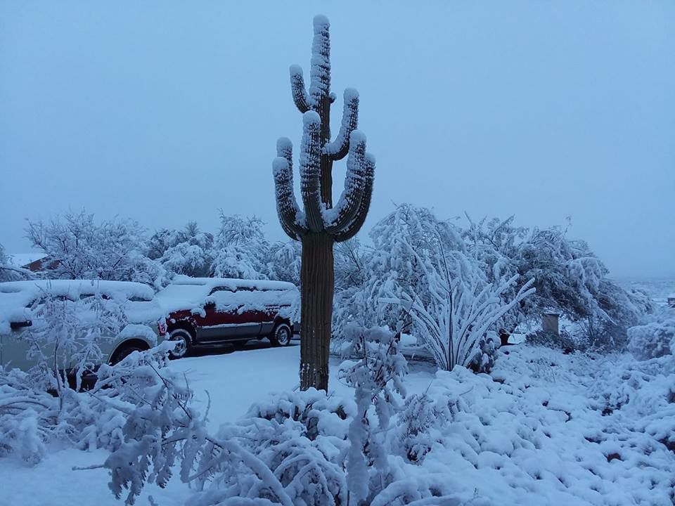 Vail snow